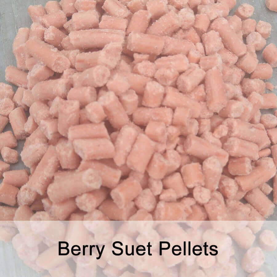 Berry suet pellets featuring in Fat robin Wild birdfood from Haith's