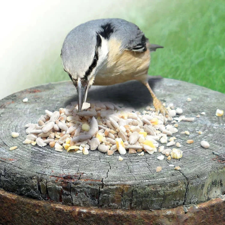 Haith's bird food mixes for wild birds and wildlife and cage and aviary birds including budgies, canaries, parrots and finches.