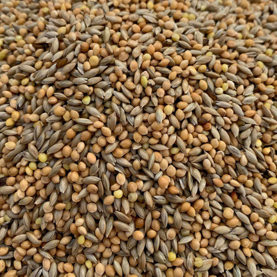 Budgie Breeders a super-clean blend of plain canary seed and Yellow Millet .