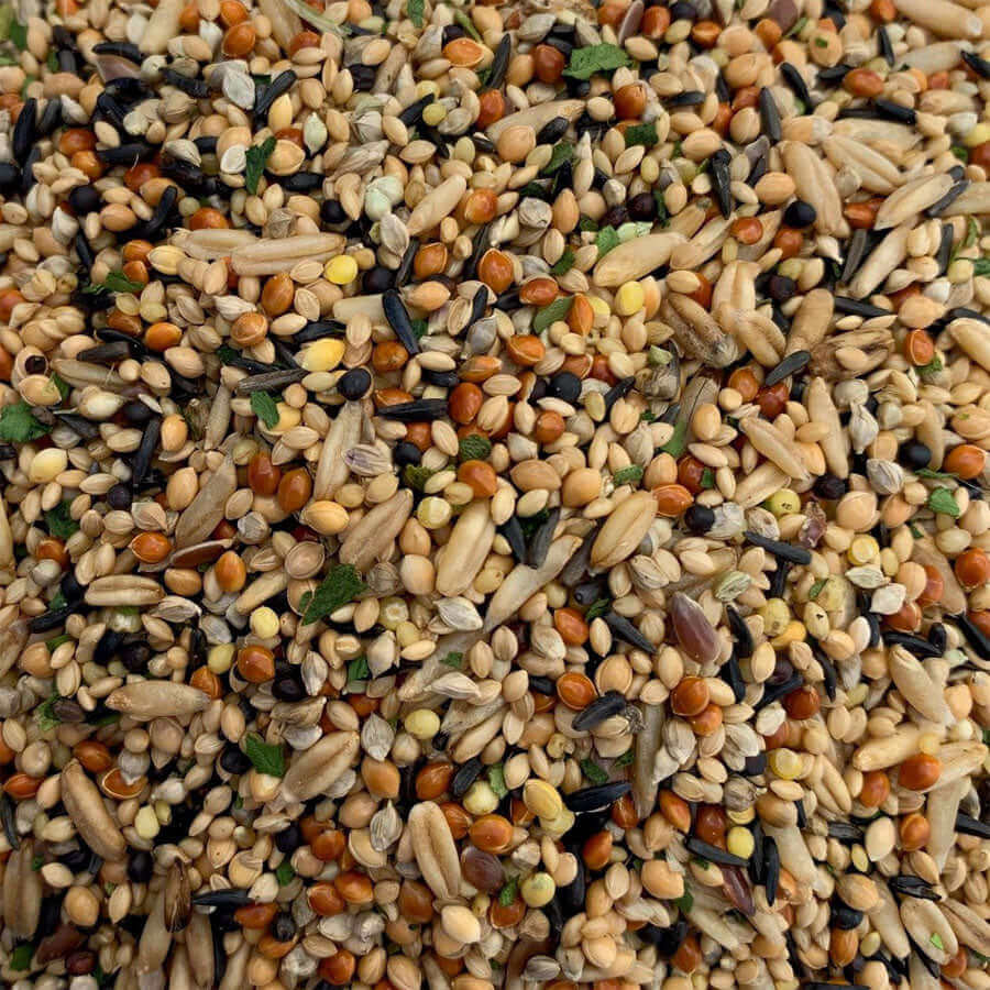 Budgie Tonic Seed helps keep budgies in top condition. Superclean caged bird food used by birdkeeping experts.