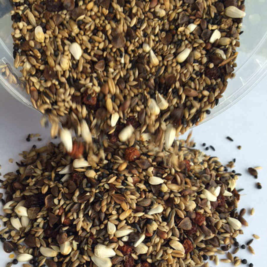 Haith's Bullfinch fix contains small pine nuts In the wild, Bullfinches can be seen feeding on niger seed - which is why we include them in our mix.