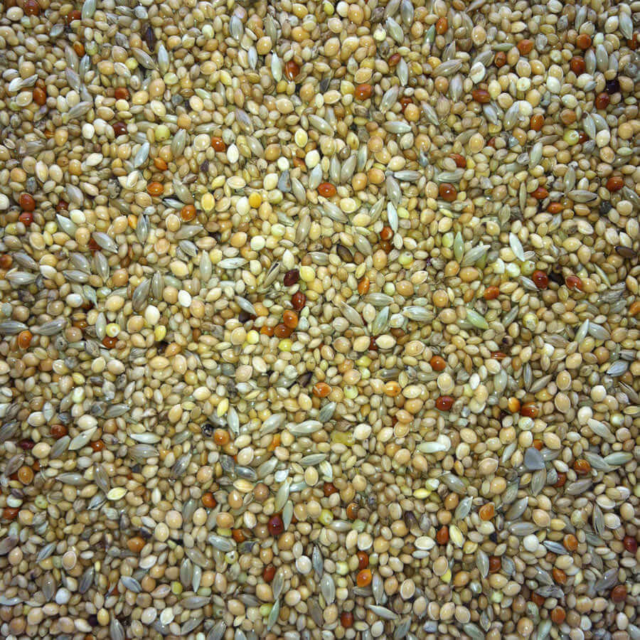 SuperClean daily diet for foreign finches, containing mixed millets.