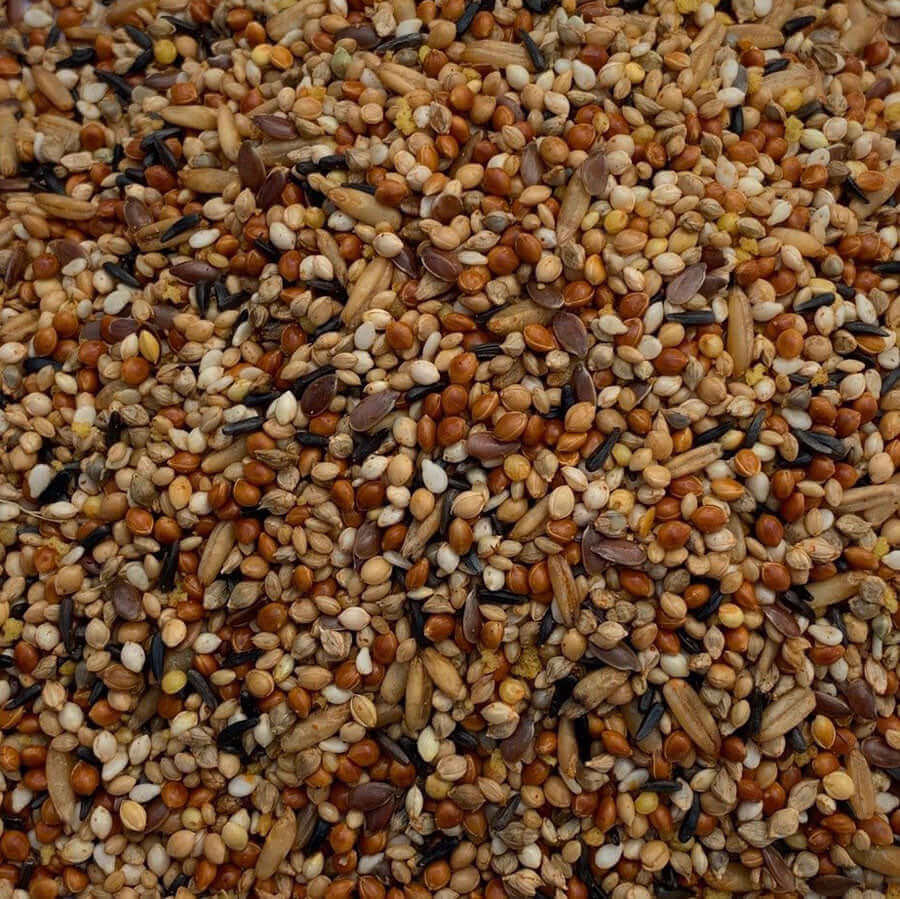 A colourful, supplementary mix filled with selected tonic seeds, for foreign finches.