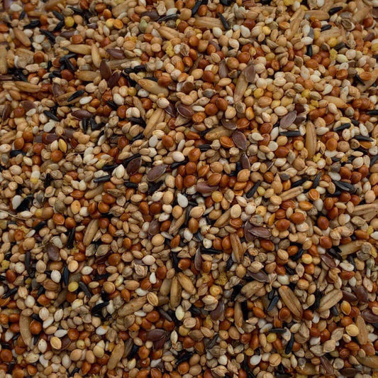 A colourful, supplementary mix filled with selected tonic seeds, for foreign finches. 