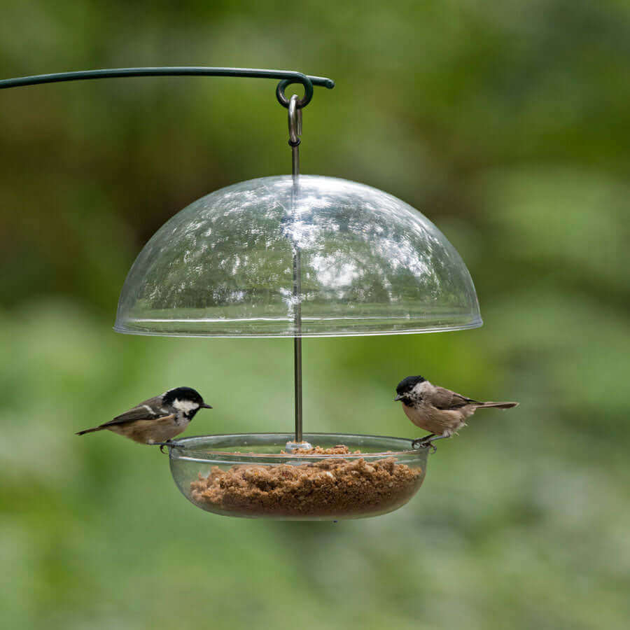 Two birds perched on the I Love Robin Feeder, with adjustable roof. Suitable for Haith's Fat Robin soft foodmix.