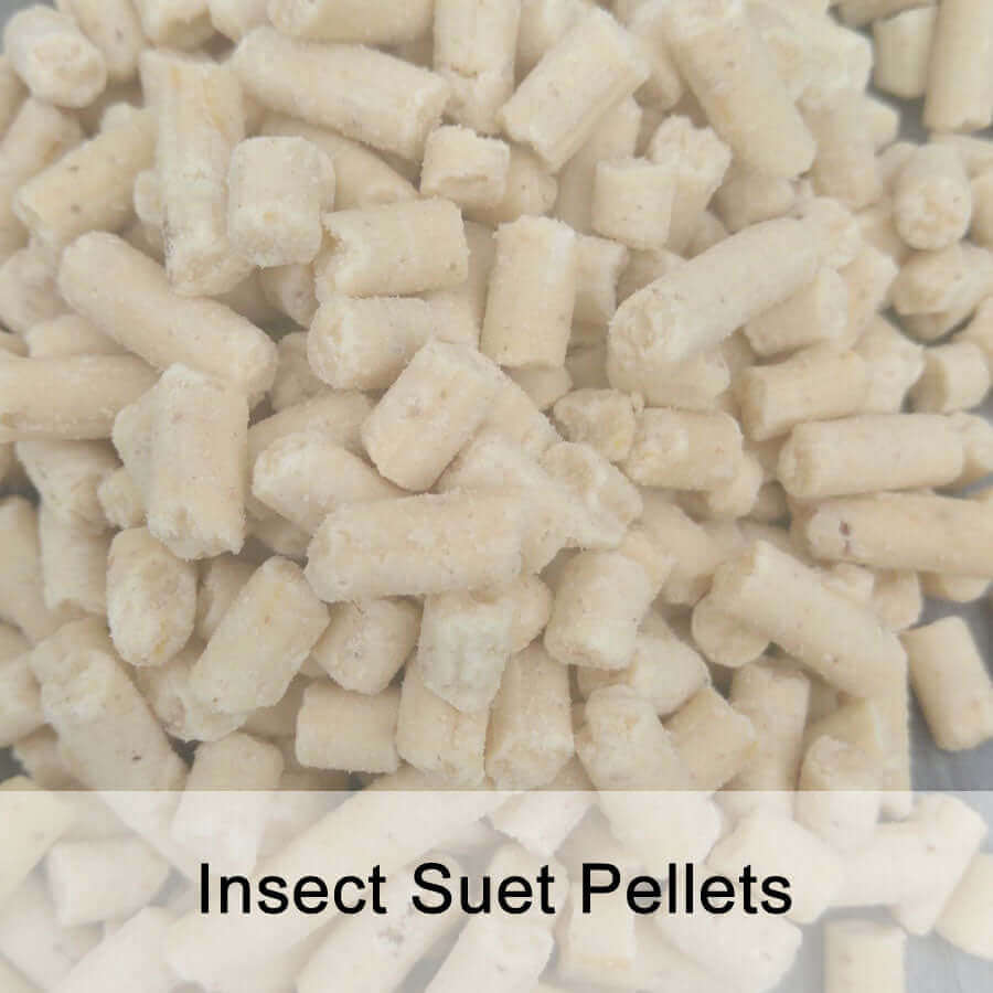 Insect suet pellets featuring in Haith's Huskfree advance with suet pellets for garden birds
