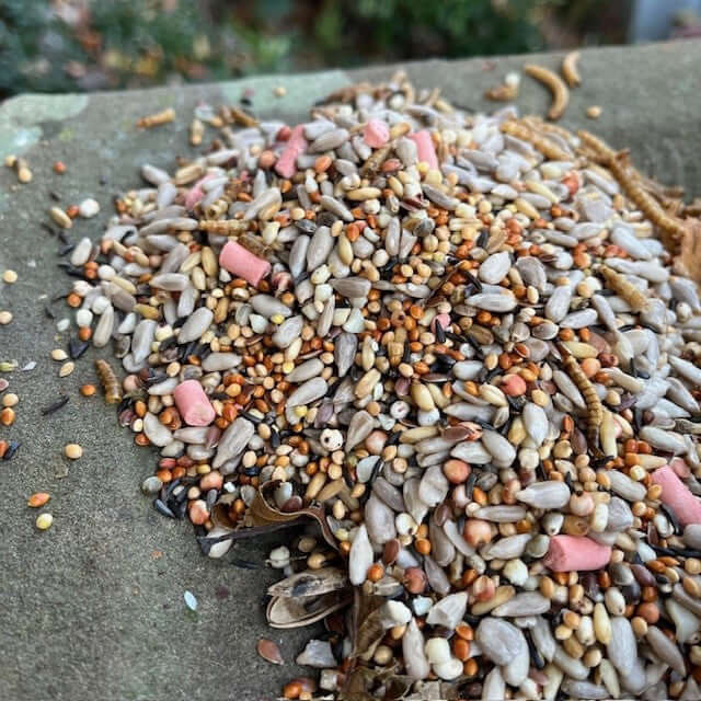 Shop Medley Wild bird food for Garden Birds from Haith's