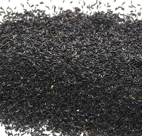 High-Quality Straight Seeds