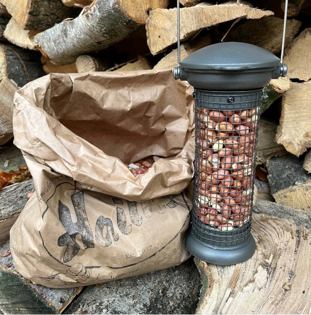 Shop Peanut Feeder from Haith's along with Peanuts