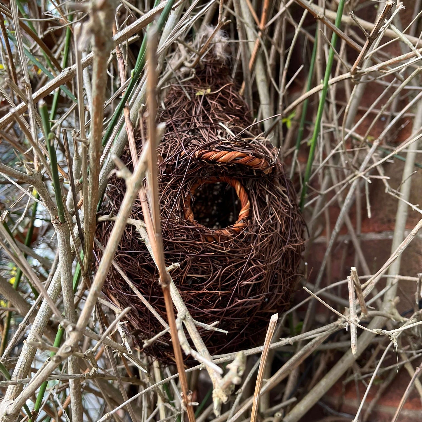 Natural-looking nest pouch with a brown, twiglike exterior.
