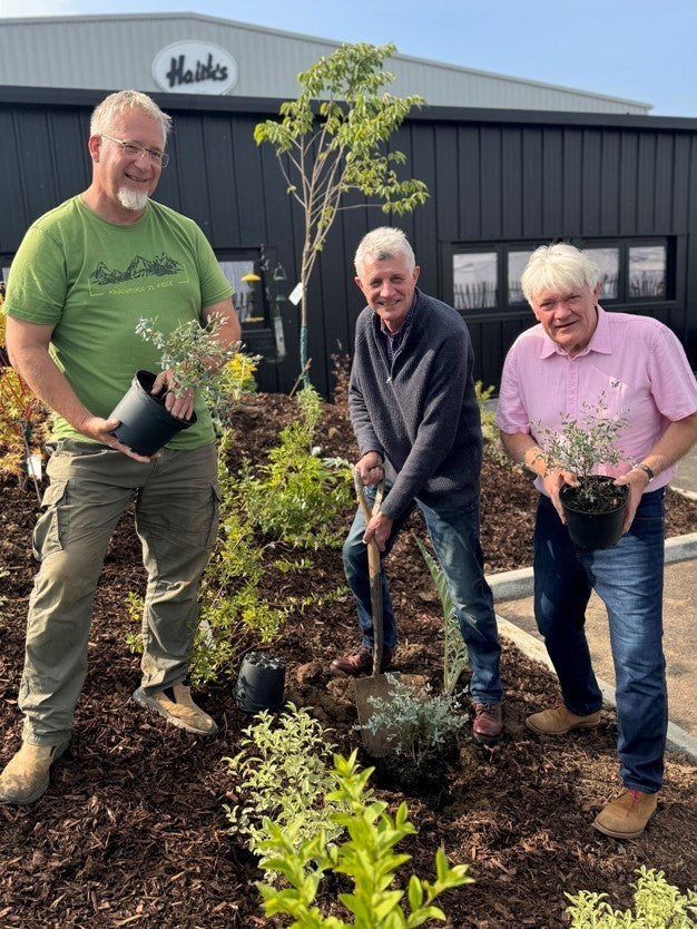 Champion budgie breeder Chris snell planting Eucalyptus tree at Haith's