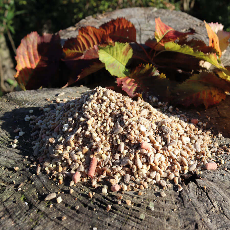 Place Fat Robin Food from Haith's on the ground or on a bird table for maximum results