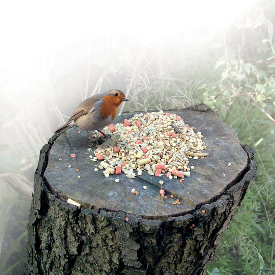 Haith's Fat Robin soft food is perfect for Robins, wrens, blackbirds and Thrushes. also contains ever-popular Sunflower Hearts plus vegetable oils and raisins. Feeding this bird food will soon prove that a Robin isn't just for Christmas.