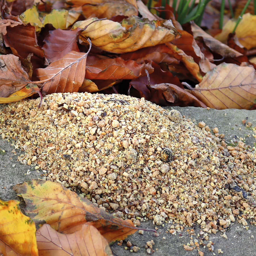 Prosecto Insectivorous™ - a nutritious softfood mix with molluscs & crustaceans, enjoyed by insect-eating garden birds.