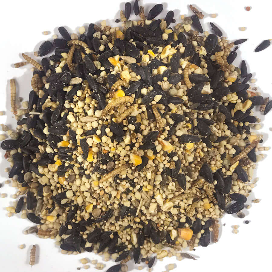 A mixed garden bird food containing Sunflower Hearts and Dried Mealworms