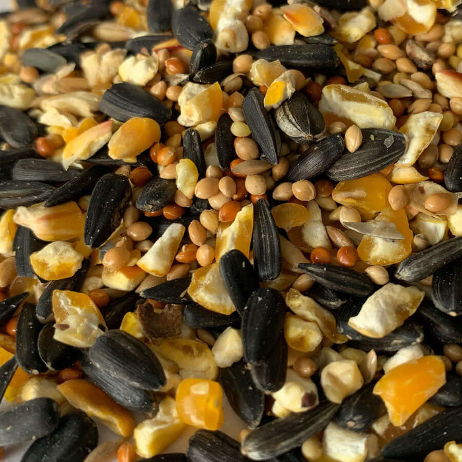Premium no wheat wild bird food for garden birds containing black sunflower