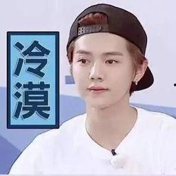 鹿晗圈内人爆料,娱乐圈背后的真实故事