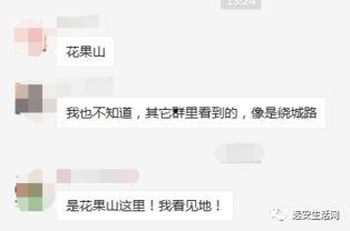 远安最新爆料事件视频,视频揭露惊人真相，事件背后有何隐情？