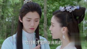 择天记全集在线观看,穿越奇幻世界，探寻命运之谜