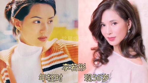 娱乐圈最大的爆料集合,揭秘明星背后的秘密与真相