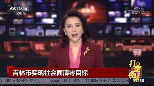 赵蕾最新爆料消息新闻视频,揭秘事件背后惊人真相