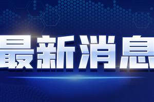 赵蕾最新爆料消息新闻视频,揭秘事件背后惊人真相