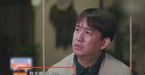 黄磊爆料别人视频大全下载,揭秘热门视频大全下载幕后真相