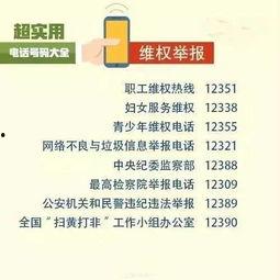闽南网新闻爆料电话号码,揭秘身边事，连线民生关切