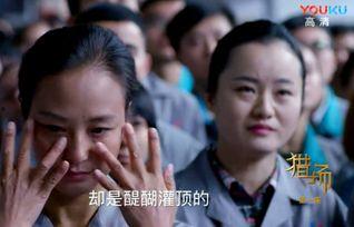 爆料郑秋冬背叛视频播放,视频揭露惊人内幕