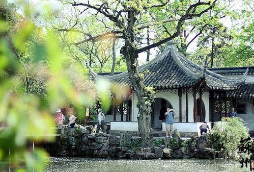 爆料苏州园林视频播放下载,视频播放与下载背后的文化瑰宝