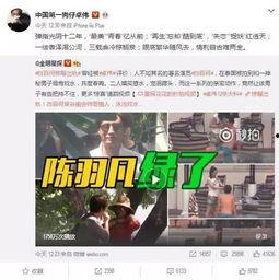 平顶山最新爆料出轨,真相与舆论的漩涡