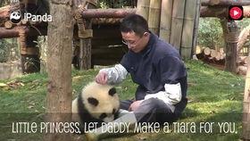 加菲最新爆料视频大全,揭秘娱乐圈幕后真相