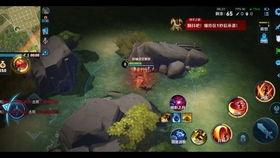 边境突围爆料视频在哪看,揭秘精彩瞬间