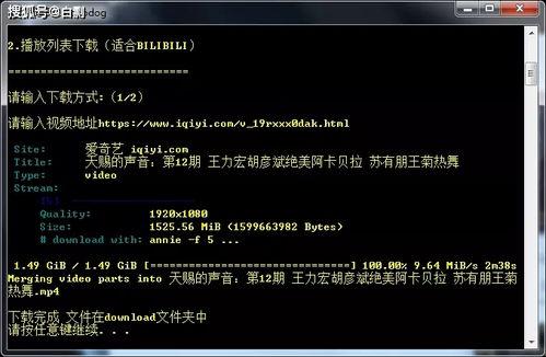 真实网络爆料视频下载安装,揭秘网络爆料视频下载安装全过程